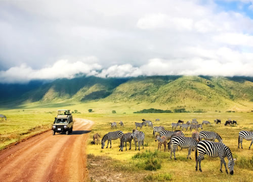 7-Day Safari: Grand Kenya Expedition: Amboseli, Masai Mara and  Lakes Safari