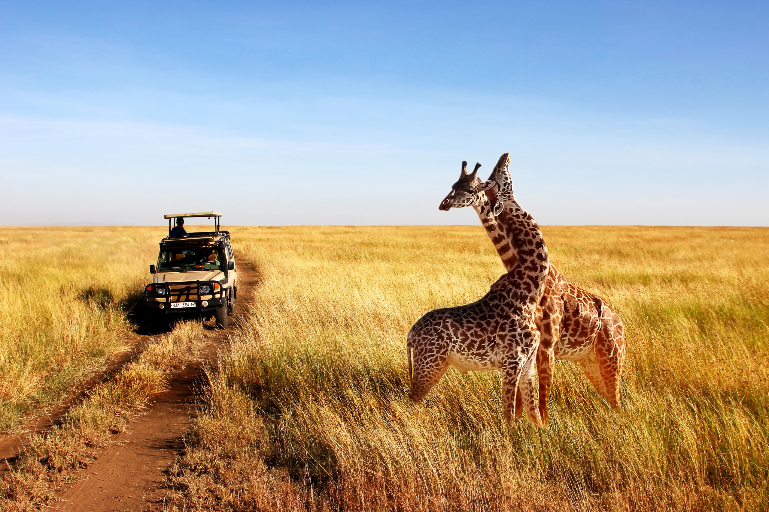 2-Day Tour: Nairobi Highlights: Urban, Cultural, and Wildlife